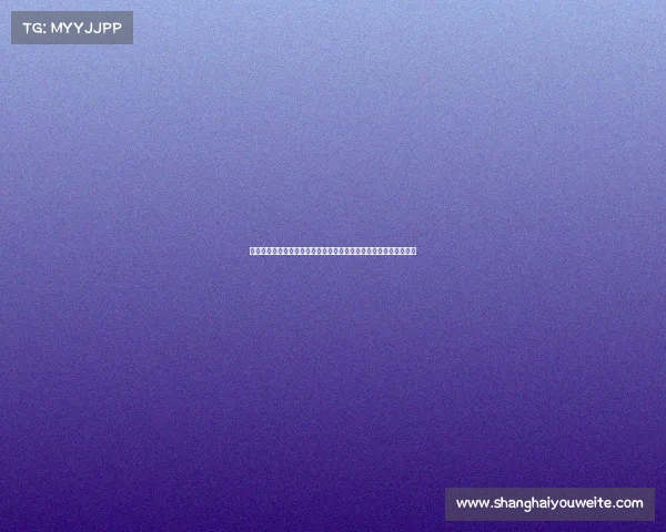 米堡赛事精彩纷呈新赛季征程充满挑战与激情球员球迷共铸辉煌时刻